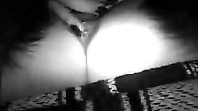 Zoo dog porn: dog girl sex videos real