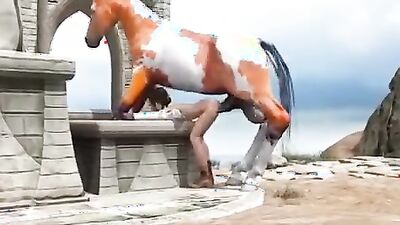 Dog porn video: zoo sex cum