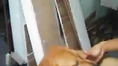 Women's dog sex: japanese dogs porn
