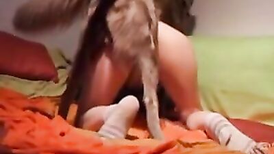 Zoo sex porn: anime virgin sex dog video