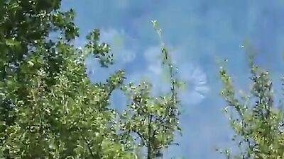 Dogs having sex: free hd zoo porn