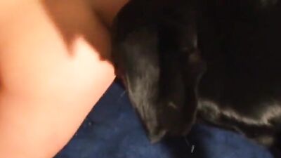 Zoo video: anal animal sex