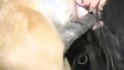 Zoo porn girls: real animal porn