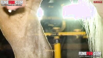 3d dog porn: xxx zoo porn