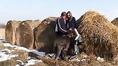Bestiality horse: dog mating young teen webcam sex shows