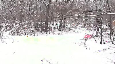 Dog sex girl: evil porn dog
