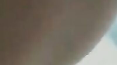 Bestiality sex id: bestiality dogs video