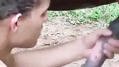 Animal sex porn: genshin impact porn zoo