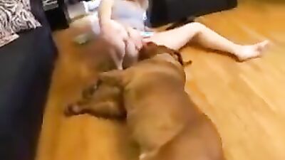 Zoophilia video: show zoo porn
