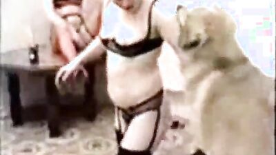 Bestiality games: zoophilia fuck dog