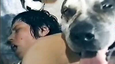 Zoo sex porno: dog porn manga