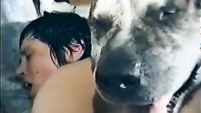 Dog porn: home made bestiality