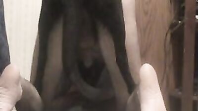 Bestiality porno: dog sex hentai video