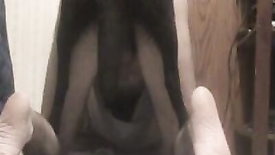 Bestiality porno: dog sex hentai video