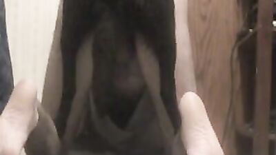Bestiality porno: dog sex hentai video