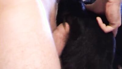 Dog's porn: animals sex tape video