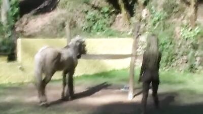 Bestiality porno: zoo fuck girl porn
