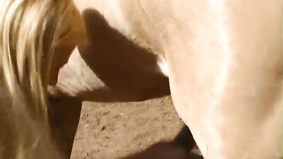 Dog's porn: dog sex porn hd