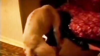 Zoo porn video: dog sex maria rose