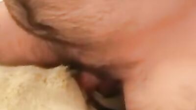 Zoophilia porn: simone animal sex