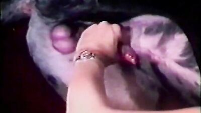 Dog lick girl: dog make girl