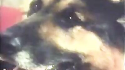 Dog get girl: animal porn mult