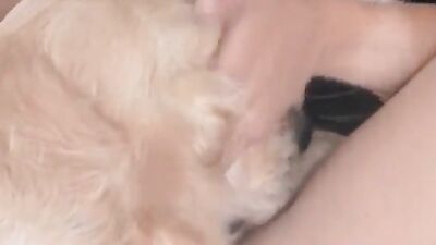 Bestiality zoo: dog sex girls hot