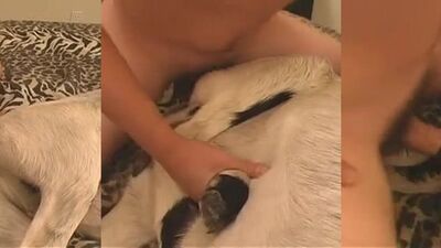 Women's dog sex: first time dog porn