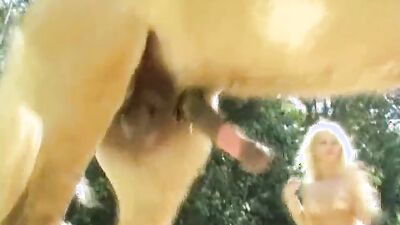 Bestiality sex: dog sex ultimate compilation
