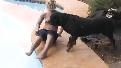 Art of zoo porno: dog sex foto
