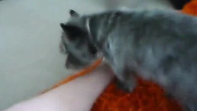 Zoo dog sex: doggy animal free porn