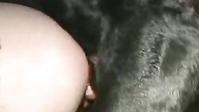 Zoo video: porno movie animal trainer 14 full