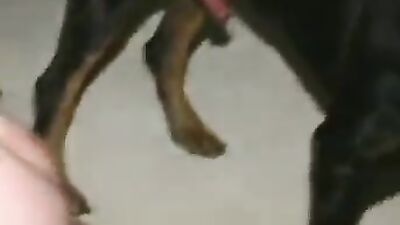 Zoo video: porno movie animal trainer 14 full