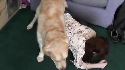 Dog girl porn: boar zoo porno bestiality
