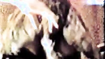 Dog sex porno: granny animal sex