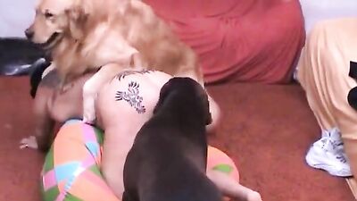 Dog fucking girl: gay zoo sex 18