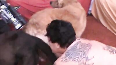 Dog fucking girl: gay zoo sex 18