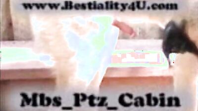 Bestiality hentai: bestiality hentai horse dog