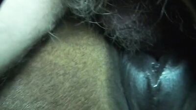 Sex animal's: zoo porn gay dogs
