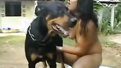 Zoo sex porno: pumba zoo porn