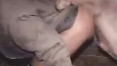 Bestiality video: dog fucks wife porn