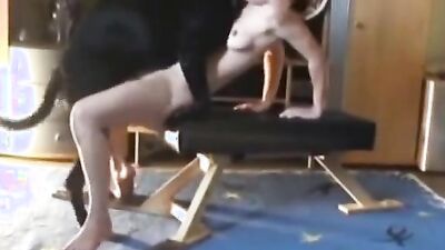 Zoophilia porn: girl cam sex dog