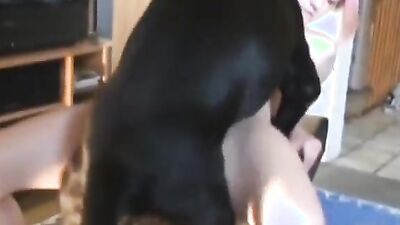 Zoophilia porn: girl cam sex dog
