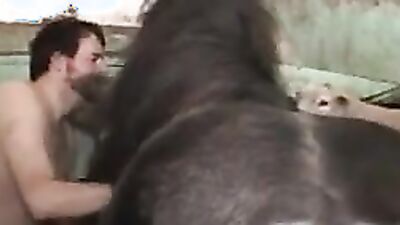 Zoo dog porn: xxx dog zoo and girls porno