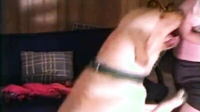2 dogs 1 girl: dog girl porno video