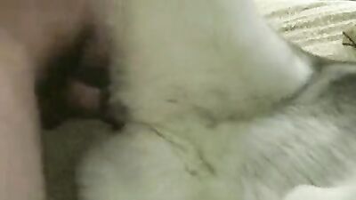 Art of zoo porn: phim sex dinosaur animal anime
