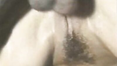 Sex animal's: sex anal real zoo