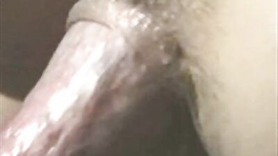 Sex animal's: sex anal real zoo