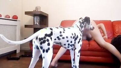 Girls 5 dogs: zoo porn dog dick