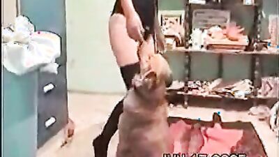 Porn bestiality: luna zoo porn